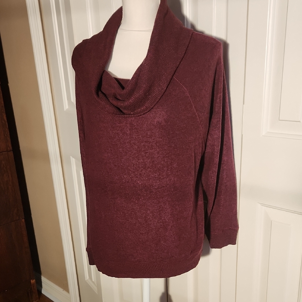 Express Burgundy Cowl Neck Sweater